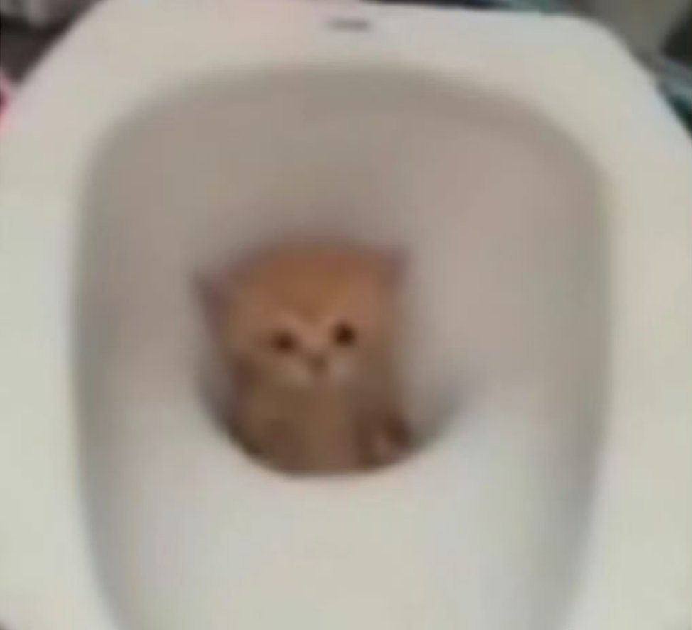 好巧，你也没睡呢 ​​​