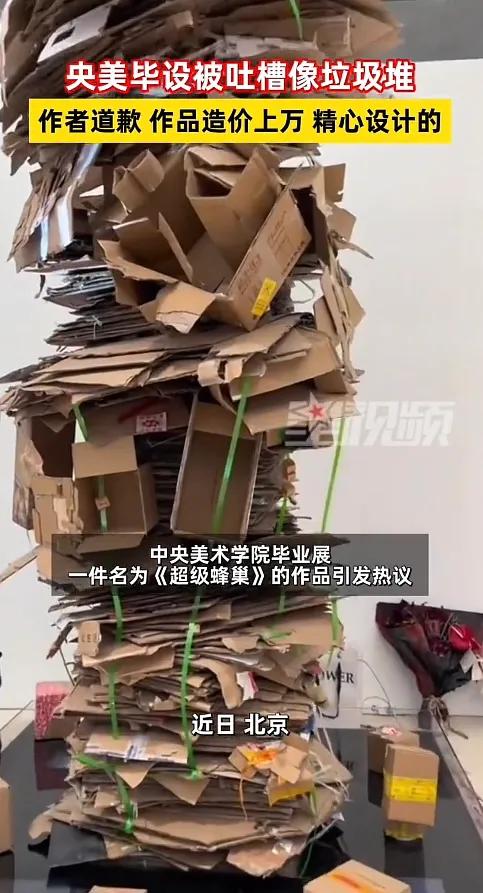 眼前明明就是一堆垃圾，怎么进入了艺术的殿堂。近日，中央美术学院毕业展上，一件名为