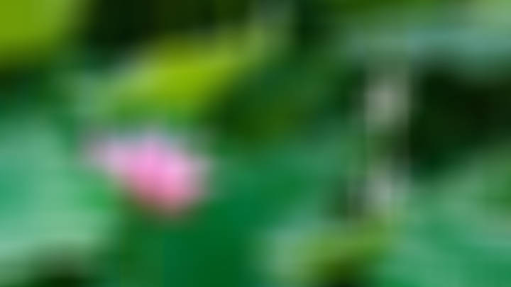 一位清洁工阿姨办了养生卡，有人问她每天就那一点收入怎么舍得去养生？她一句话惊醒了