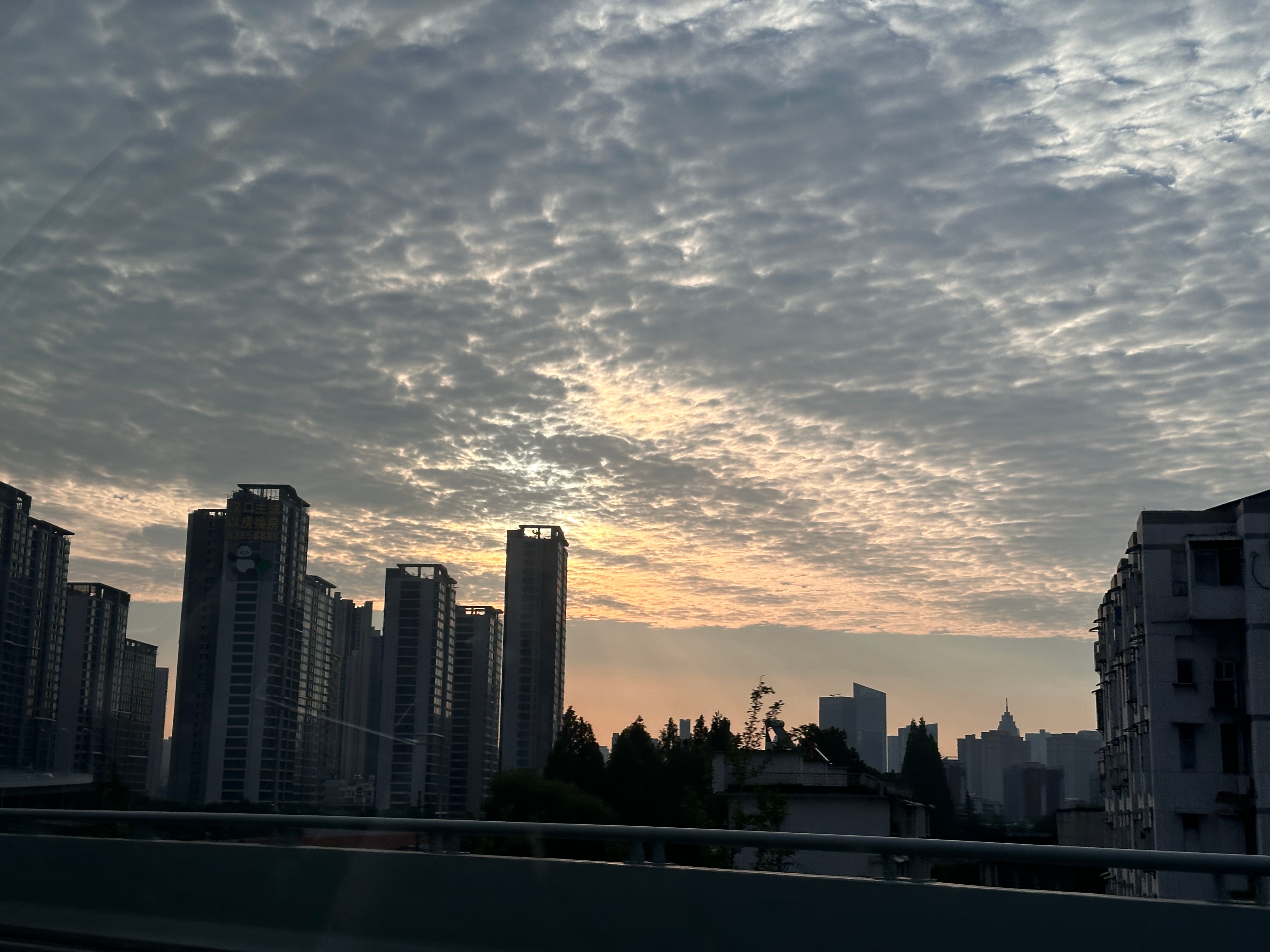 早友友们～今天是早起搬砖的一天🤓🤔这么厚的层积云这是要下雨的节奏 ​​​