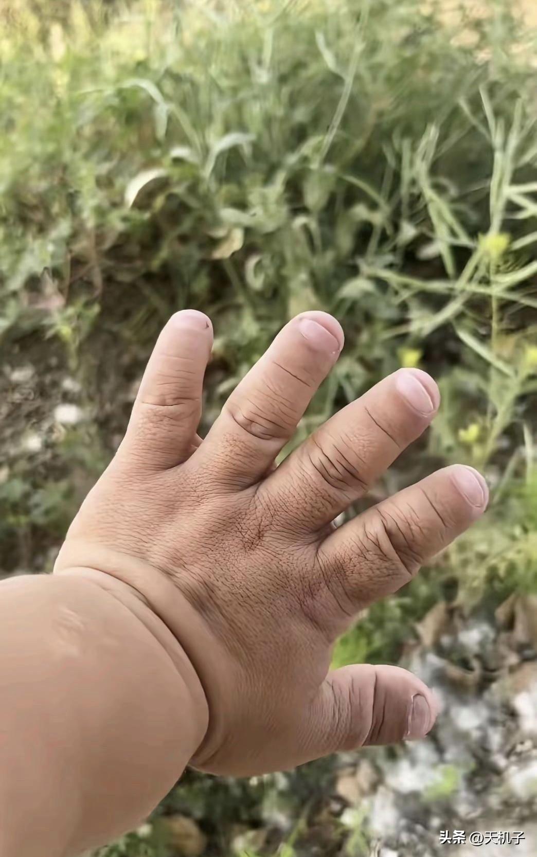 大家说适不适合练降龙十八掌呢。练成了一掌下去估计郭靖都得跪下来求我。
