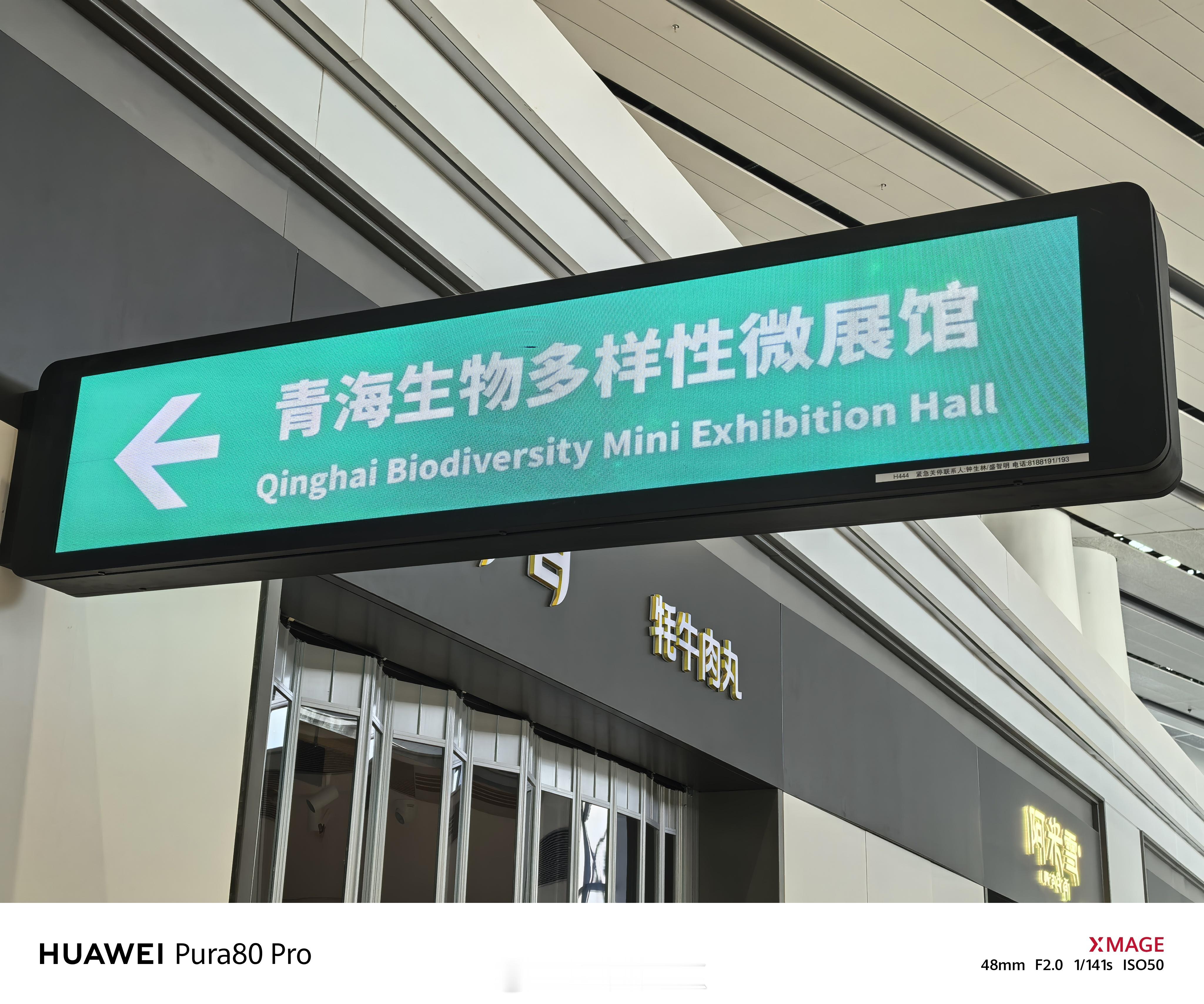 青海西宁机场安检后候机厅的一个生物多样性微展馆海东·西宁曹家堡国际机场[地点] 
