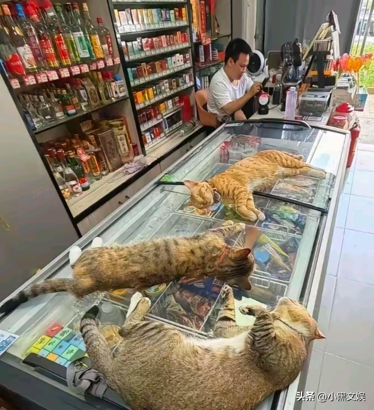 好家伙看个店都不认真啊！
一个打游戏、另外三个在睡觉，等老板娘来了，打游戏那个扣