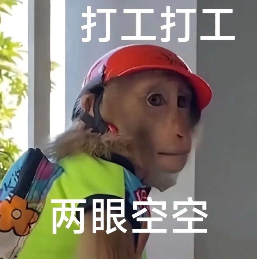 早上坏！我也要向学习来一个素面朝天的大肥脸攻击[酷] ​​​