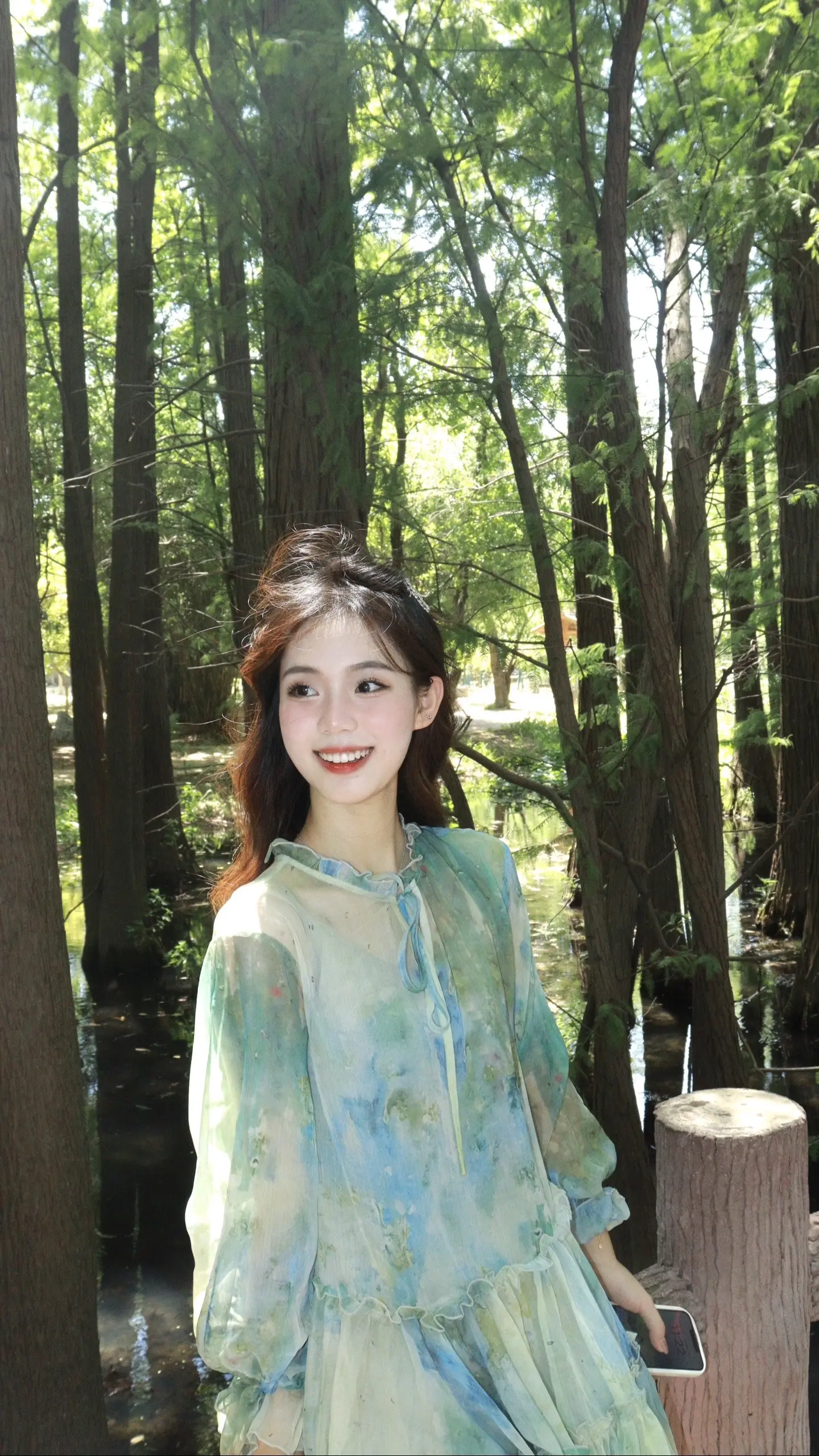 放青松🌲。