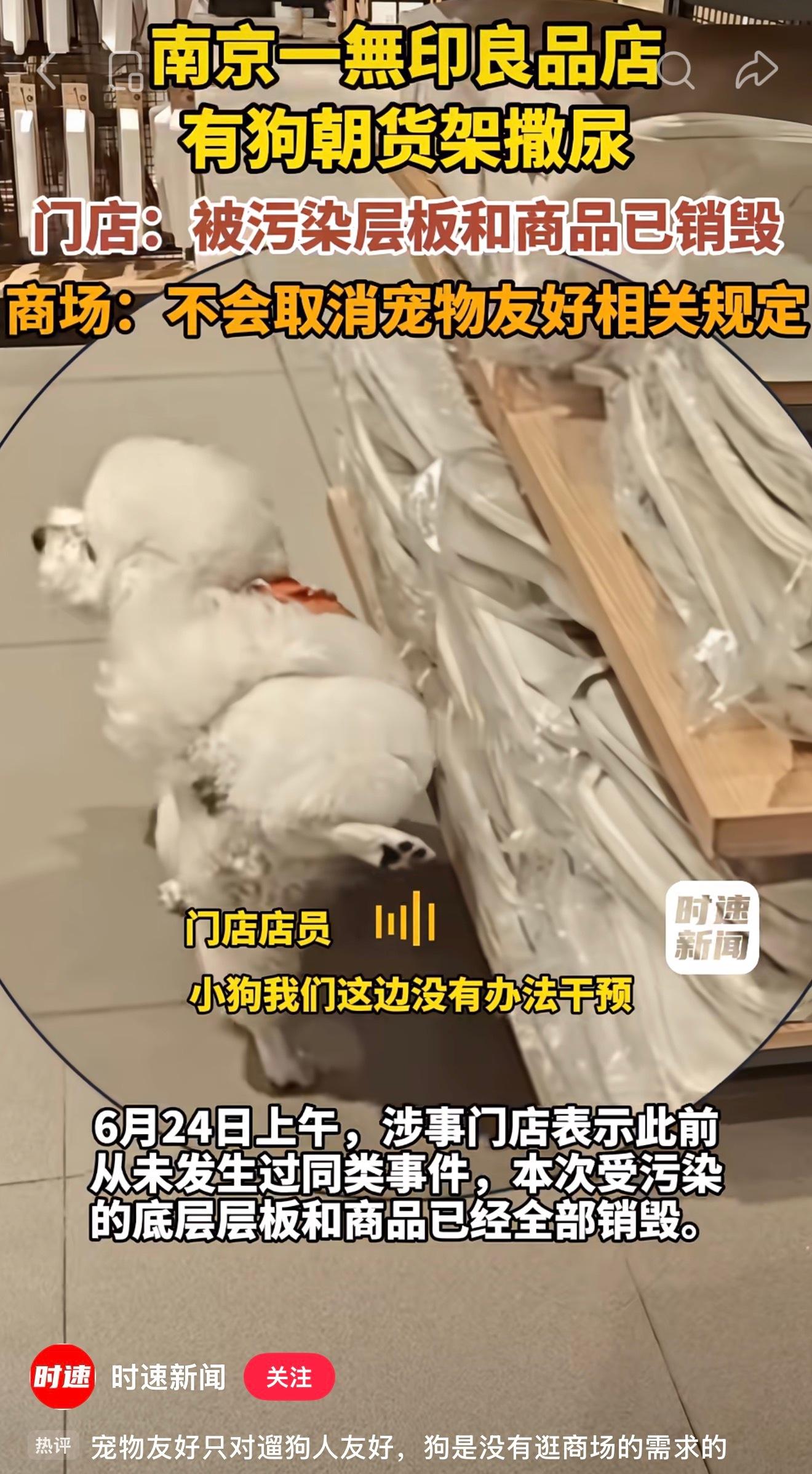 南京一无印良品有狗向货品撒尿又来一起“宠物友好”！南京城北万象汇无印良品，没牵绳