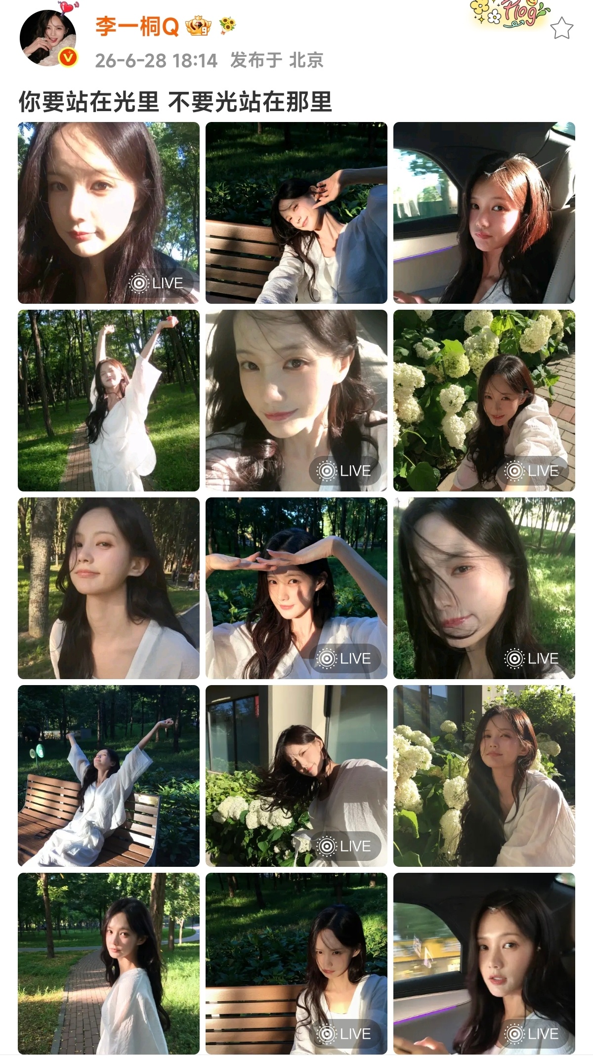 好美啊一桐