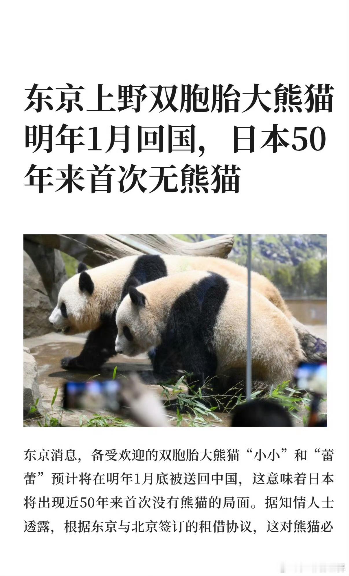 中方回应是否租借新的大熊猫给日本熊猫是中国的国宝，是友谊的象征，你们如此下作的要