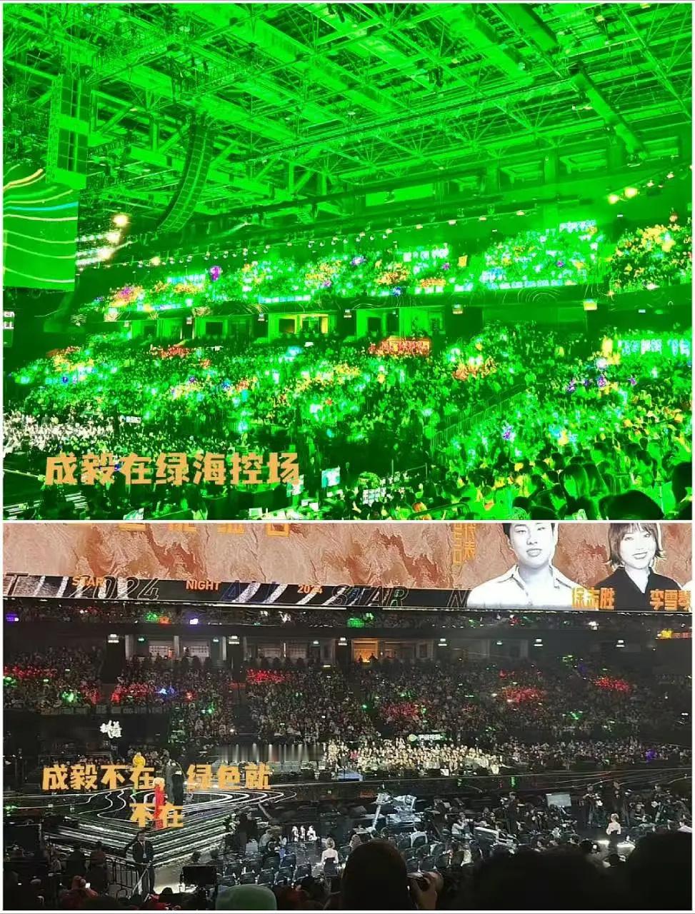 星光大赏台下应援，ie姐姐收放自如，成毅出来前后这个对比[允悲][允悲] 