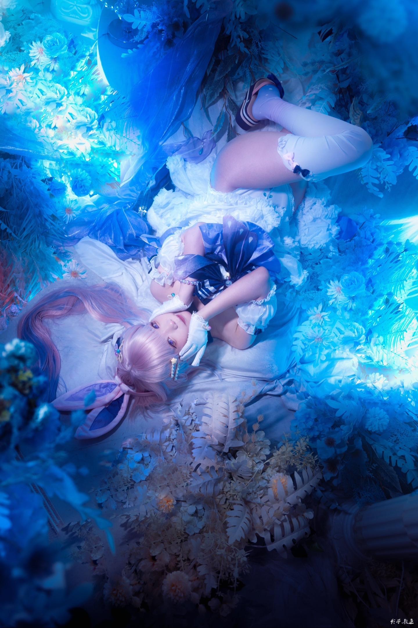 来看看观赏鱼🐟。