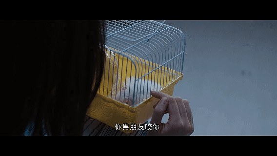 男医生掰断仓鼠腿给少女治病温柔皮囊下全是恶意！他特意选凶的仓鼠，又狠心掰断它的腿