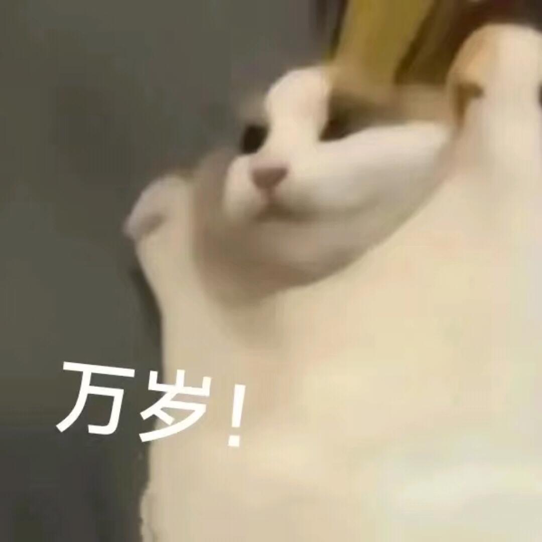 报告！！白鹿李佩仪16:51下班啦！！探案结束！今天下班早早地回去好好休息🥺 