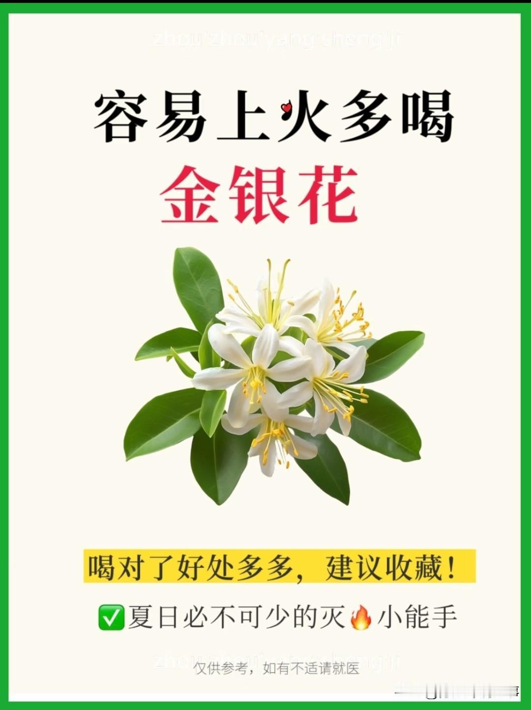 皮肤长痘、嗓子肿痛、风热感冒……老中医和西医同时推荐的药，竟然是它！

如果你问