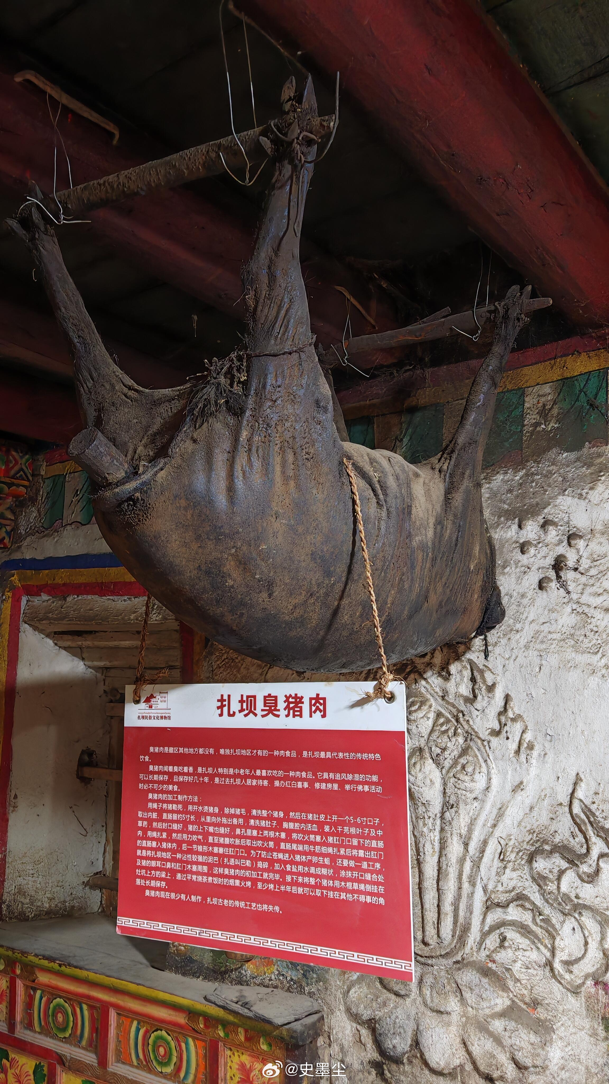 据说这头猪值100万，它的年龄已经有75岁了！ 