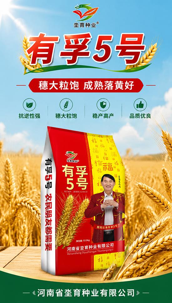 河南省坔育种业有限公司国审小麦新品种“有孚5号”，是黄淮冬麦区粮农的稳妥之选（审