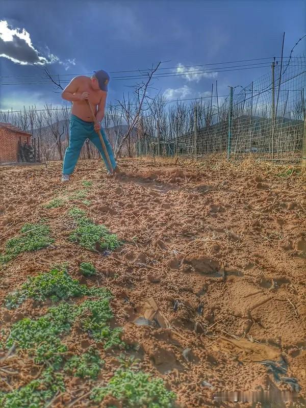 在这个时代，有一种声音我们听得太多，却早已失真，就是认为勤劳能致富。

事实上，