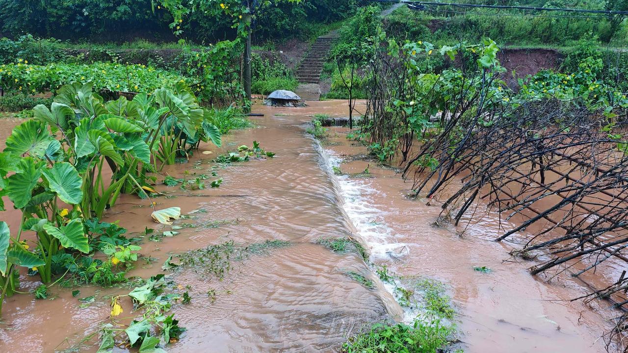 玉楼春 · 夏雨

人知夏雨无情意，摧毁芳园花满地。黑云翻滚欲倾天，田淹山崩民泪