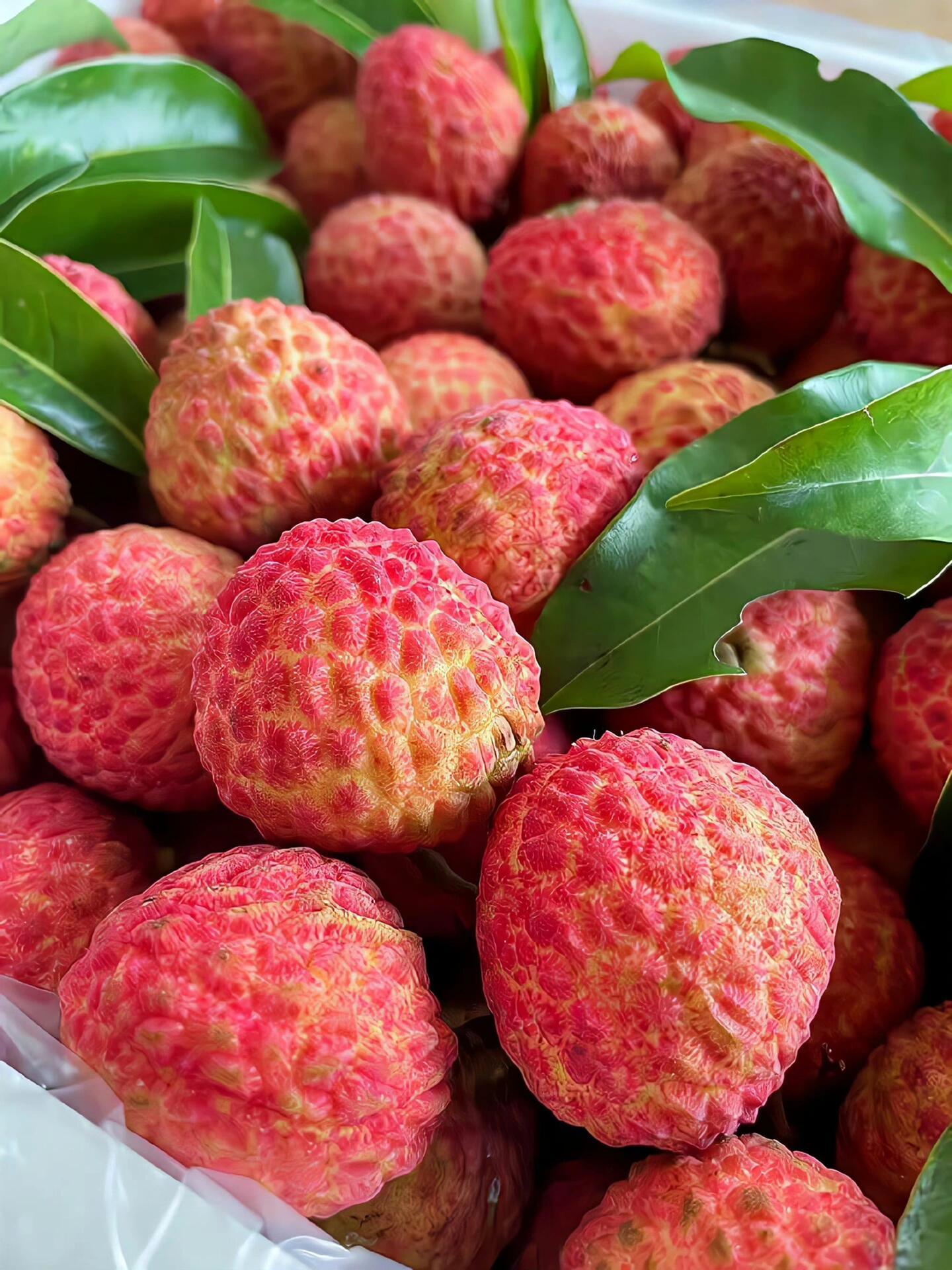 荔枝（拉丁学名：Litchi chinensis Sonn.，拼音：lì zhī