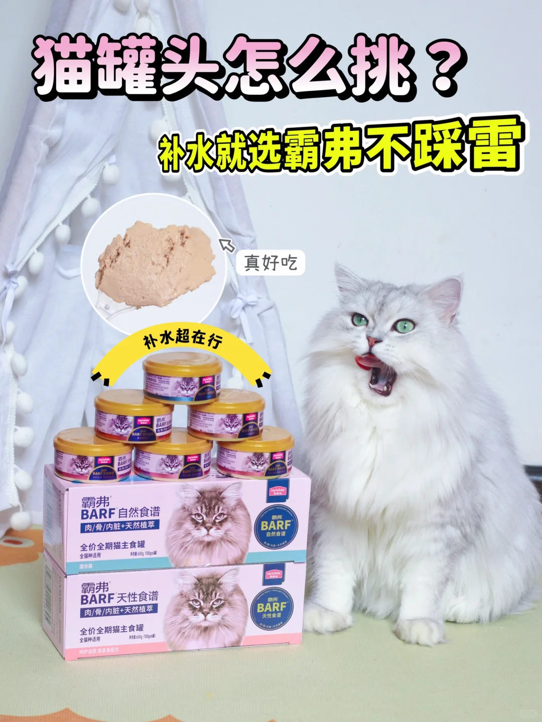 补水猫罐头哪家强？霸弗在手不慌张！