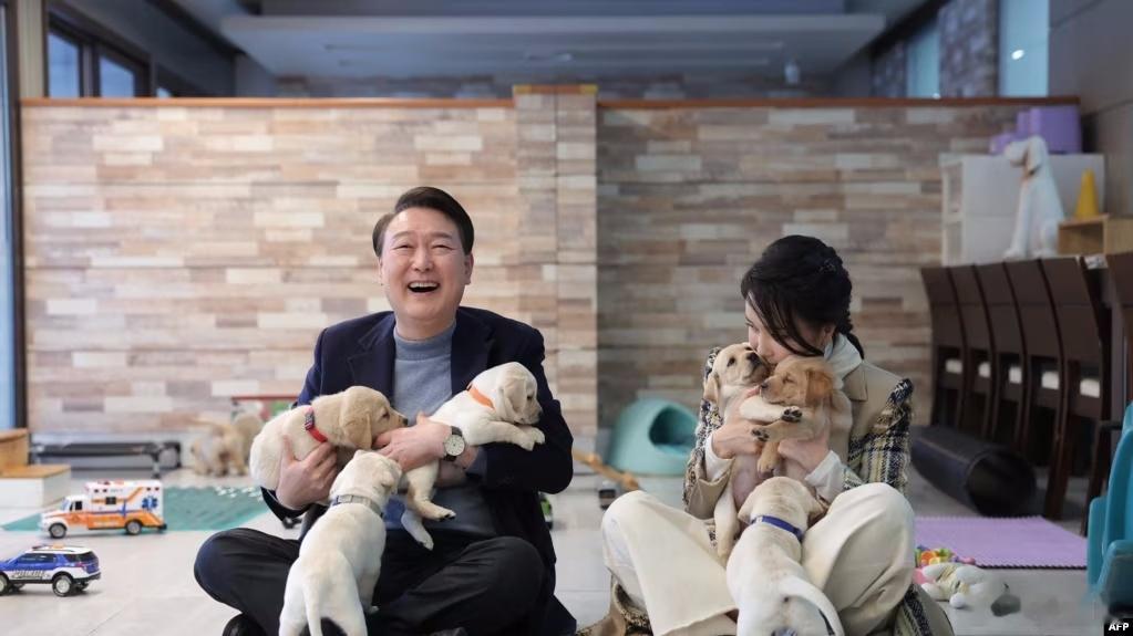 韓國正式立法禁止與食用狗肉相關的活動，歡迎韓國朋友蒞臨廣西玉林！ ​​​