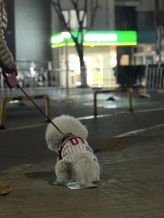 有意境的拉💩