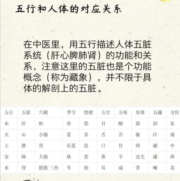 五行和人体对应的关系