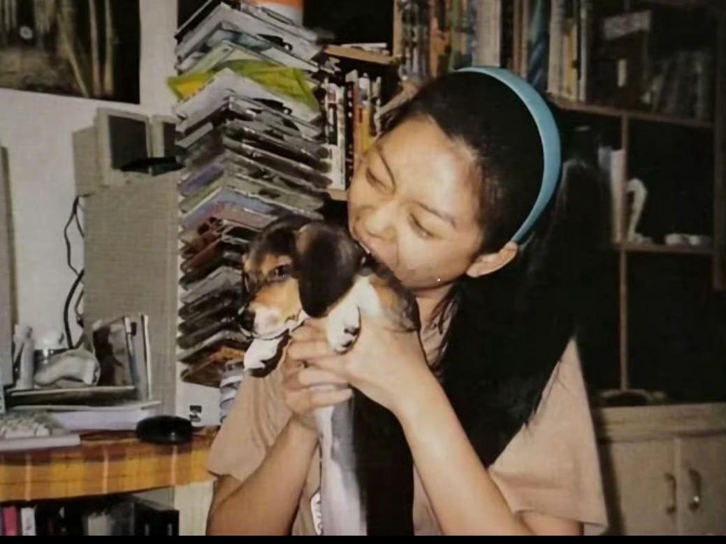 2003年，大S在台湾一个动物保护组织偶遇五妹娘，这只从非法繁殖场救出的比格犬，