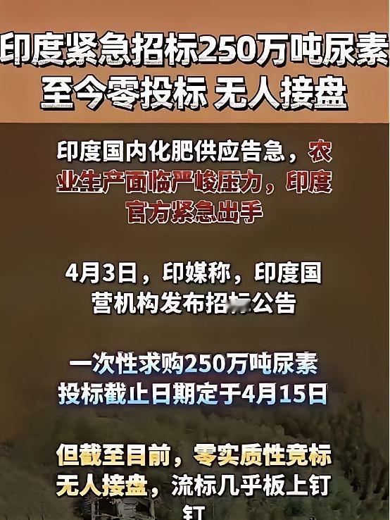 印度250万吨尿素全球招标，结果一份标书都没收到。不是没货，是真不敢跟它做生意啊