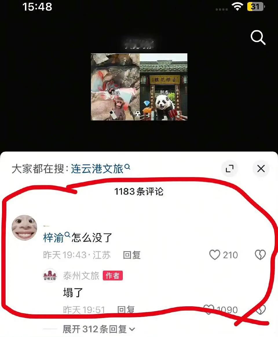 网友：梓渝怎么没了❓ 文旅: 塌了。。。 ​​​