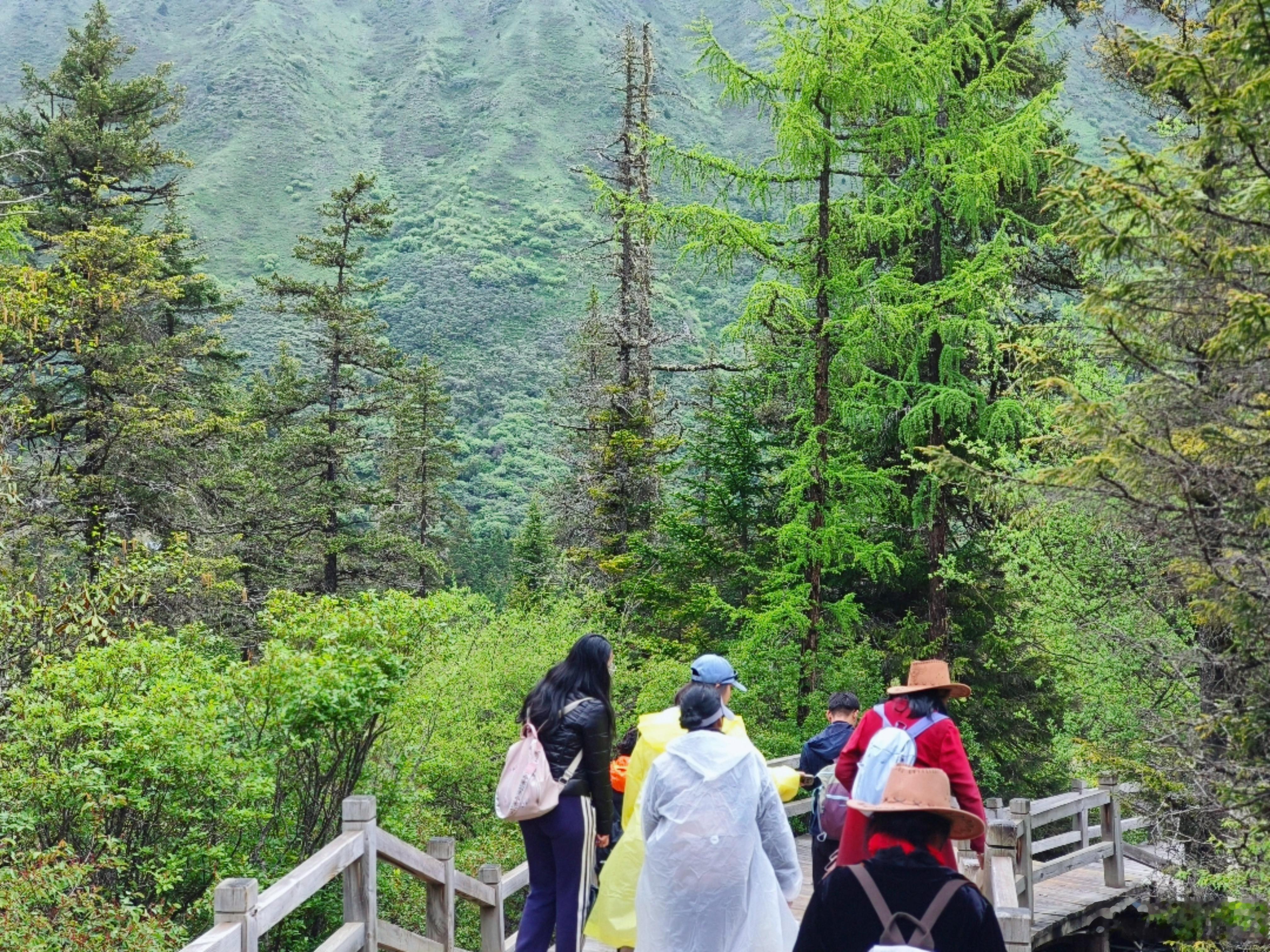 忽晴忽雨间，黄龙的色彩在呼吸 雨润黄龙色更鲜 六月的黄龙从不单调。高原夏日的典型