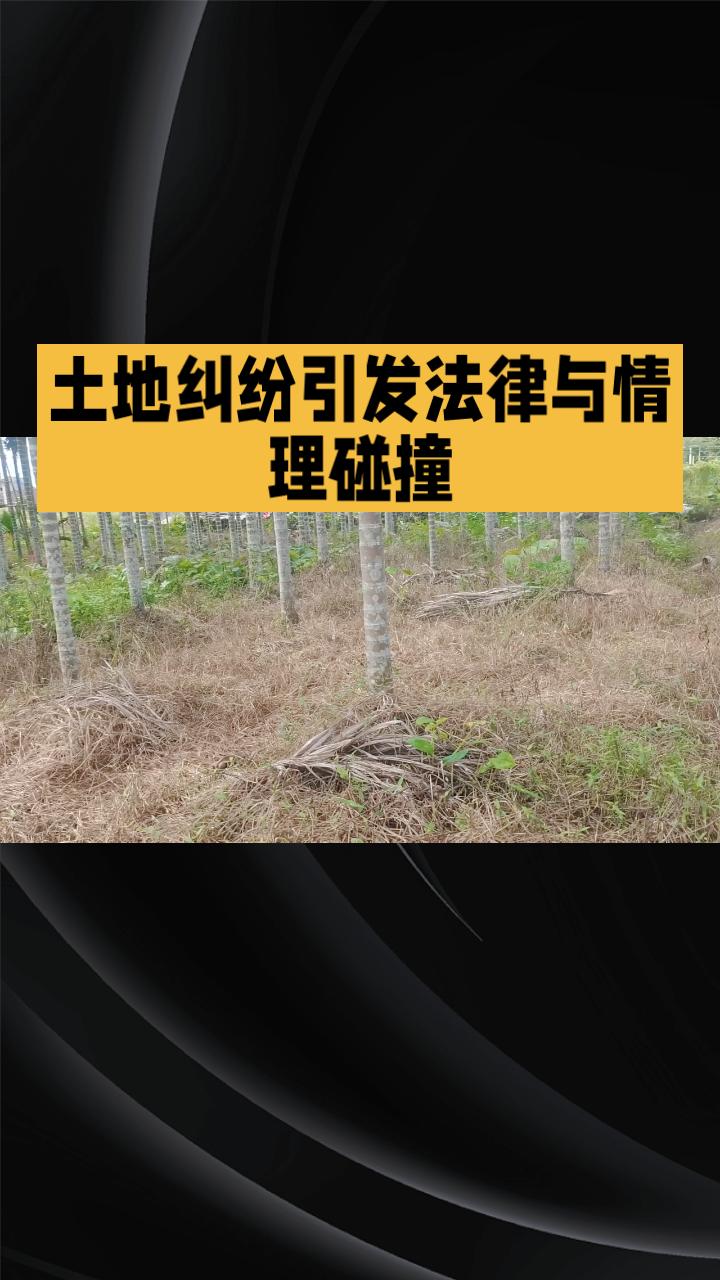 祖坟前拔苗竟成刑事犯罪？土地纠纷引发法律与情理碰撞。
近日，一宗因土地纠纷引发的