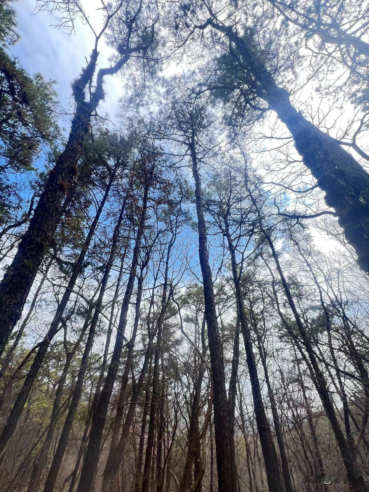 真正的养生是什么？
养生
从来都不是靠补品、靠药，
少吃脾胃自然好；
多睡元气自