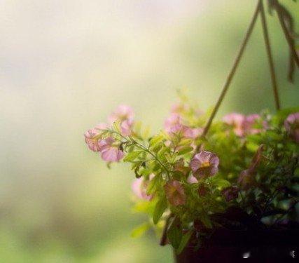 We cannot change anything unless we acce