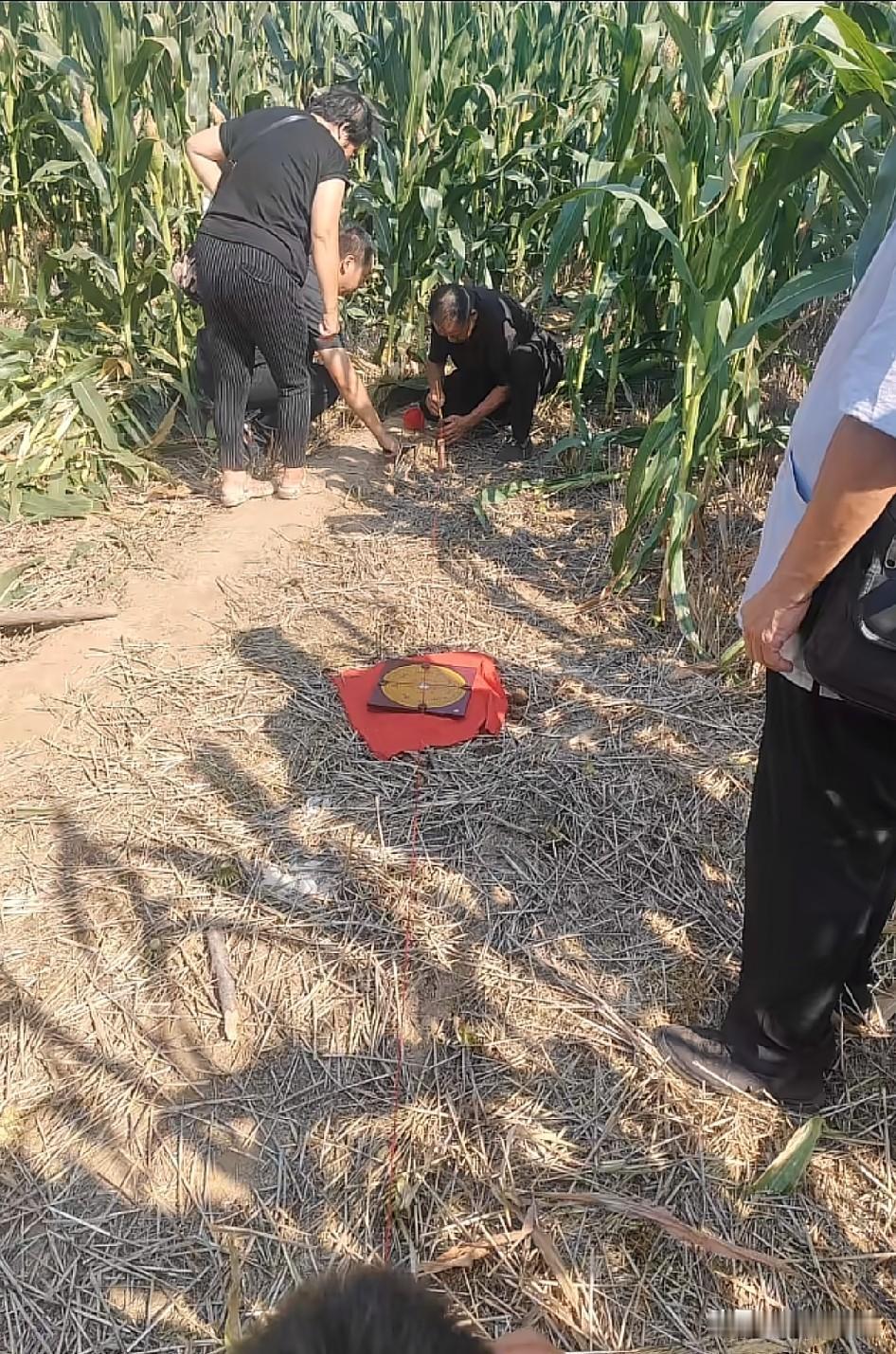 风水师玉米地里摆罗盘