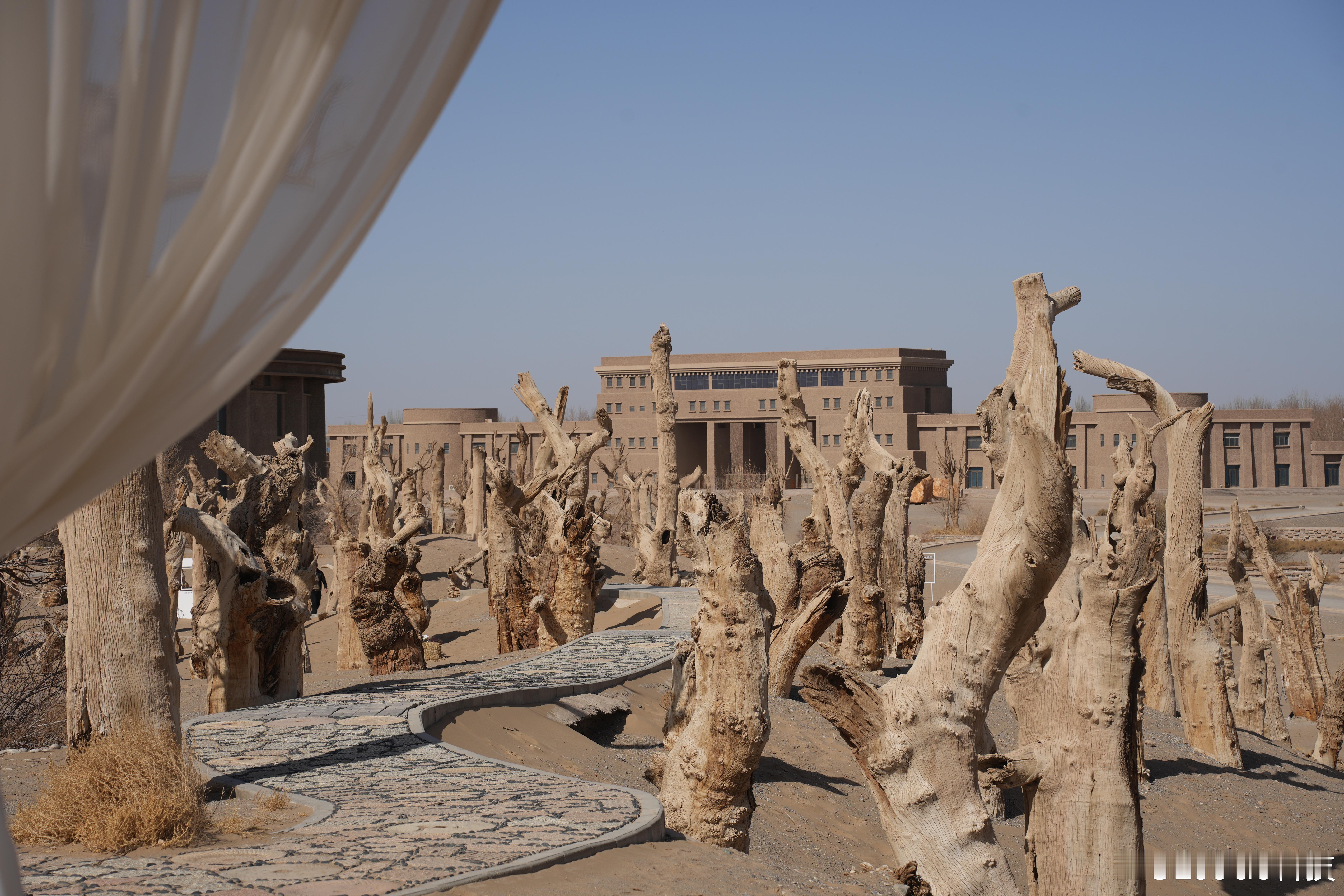 当代年轻人的减肥现状跑步，跑步，就是跑步…… 