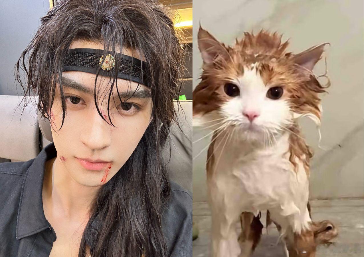 黄俊捷 落汤猫黄俊捷简直是人类版落汤猫！湿发战损帅裂，转头自抛表情包，又帅又可爱