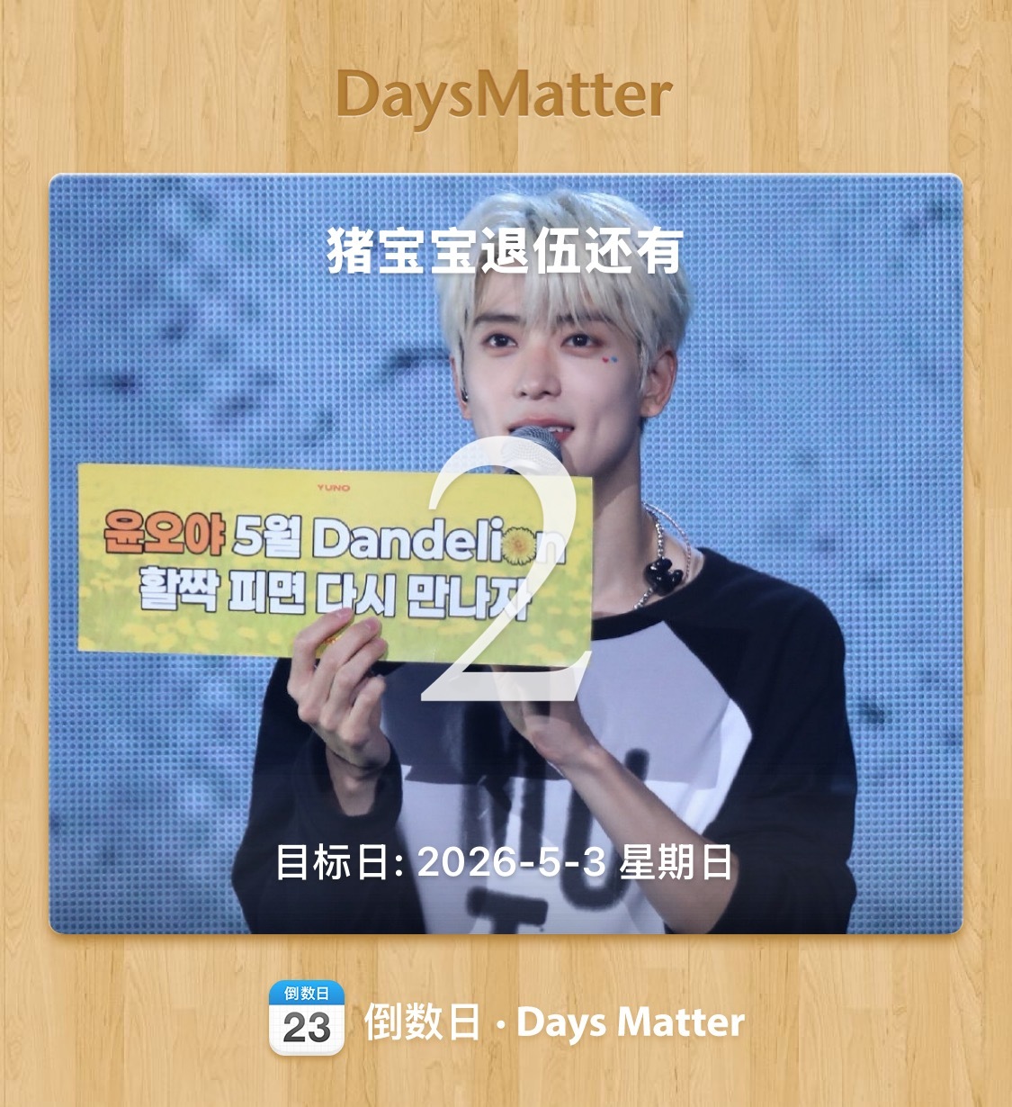 蒲公英盛开的五月好幸福 