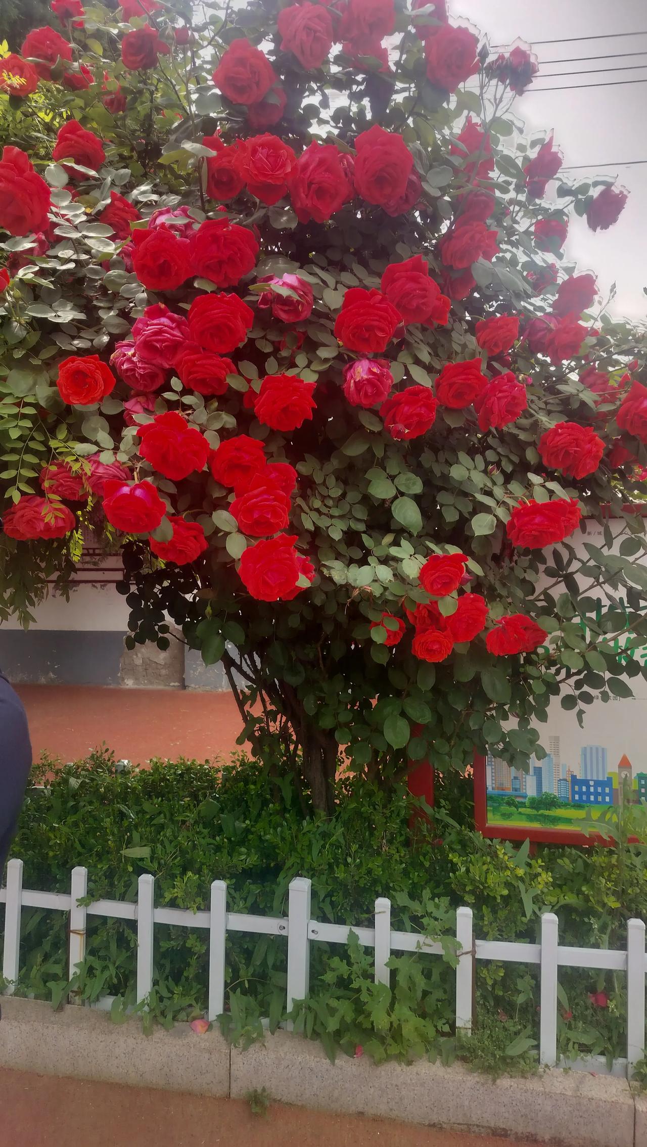 迷茫时，书籍能给你答案；低谷时，文字能治愈情绪。见识更广，格局变大，遇事不再狭隘