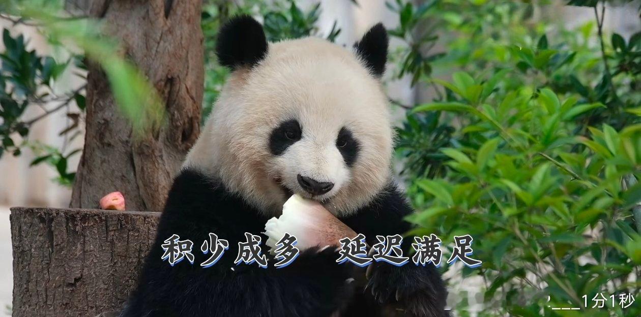 晚上喝了点燕麦片，吃了一个鸡蛋一个杏，好饿啊现在。
