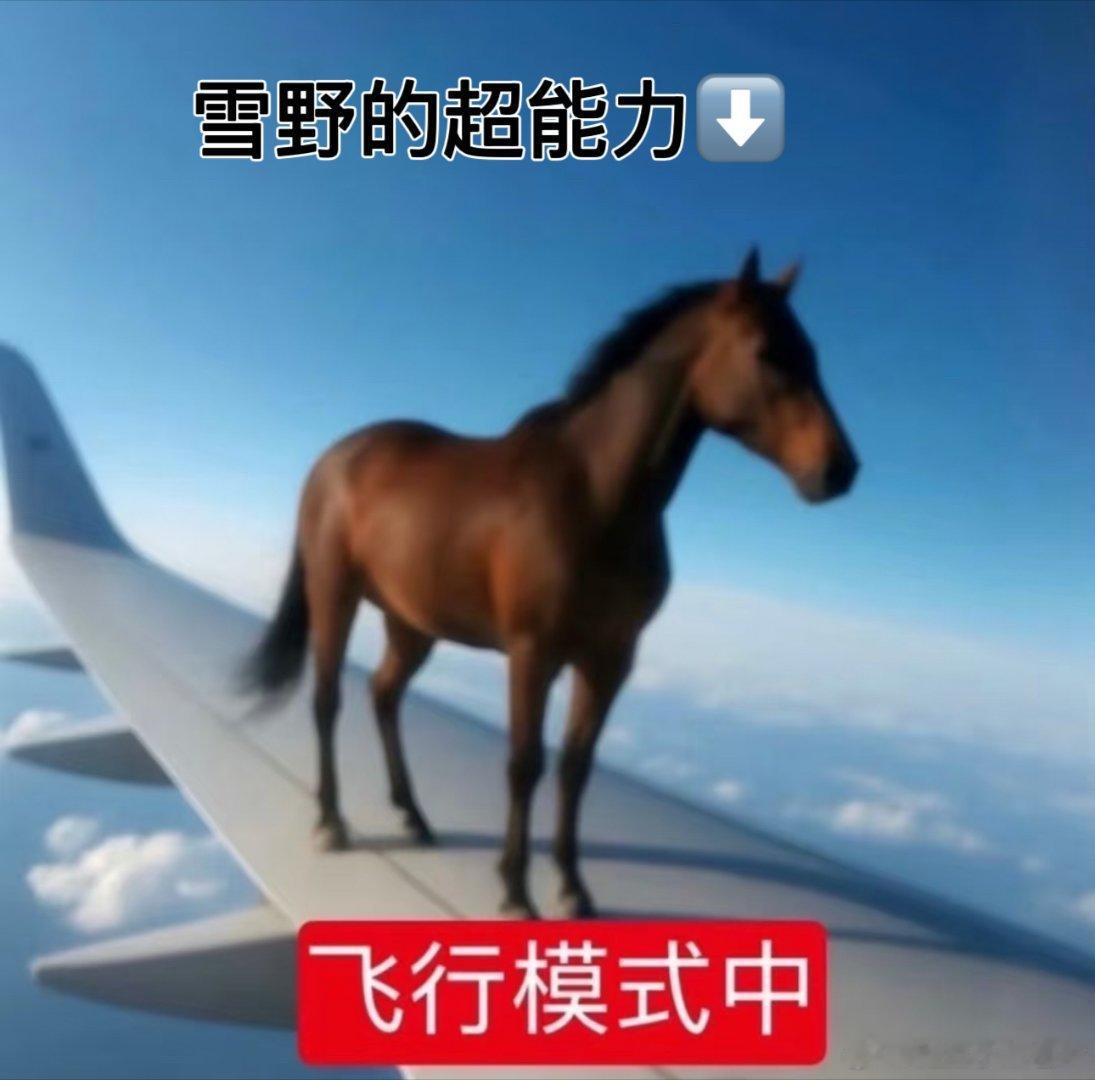 功夫女足娥眉队现实中也身怀绝技周星驰介绍新人演员好真诚 难怪娥眉队打戏如此自然，