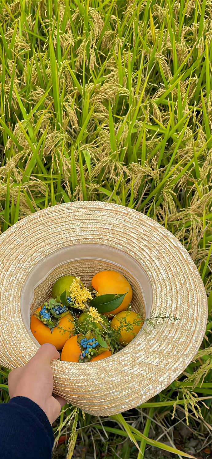 早上好！ ​​​