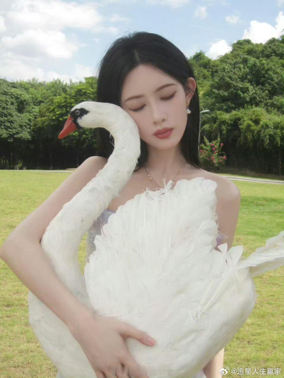 孟子义天鹅大片 好优越的肩颈 女明星都真的好自律啊 ​​​