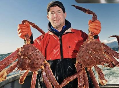 1960年，苏联动物学家将3000多只帝王蟹空运9000公里，放生到了欧洲海域。