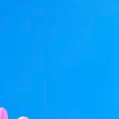 阳光信用 不管有多苦，千万要记住：苦难是我们人生路上不可缺少的经历，只有活着，才