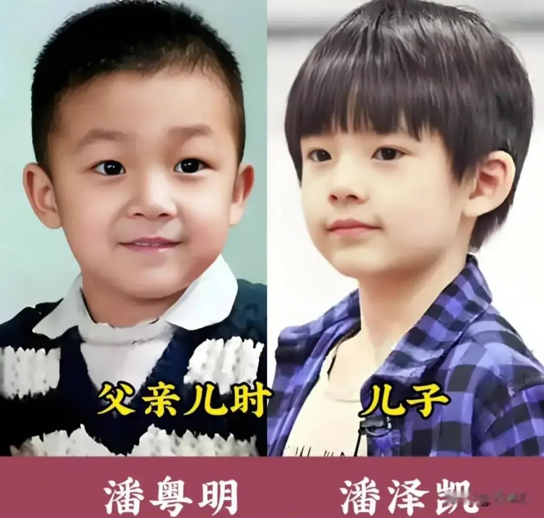 邓超的儿子可爱又帅气。
林志颖的儿子可爱又帅气。
潘粤明的儿子可爱又帅气。
李佳