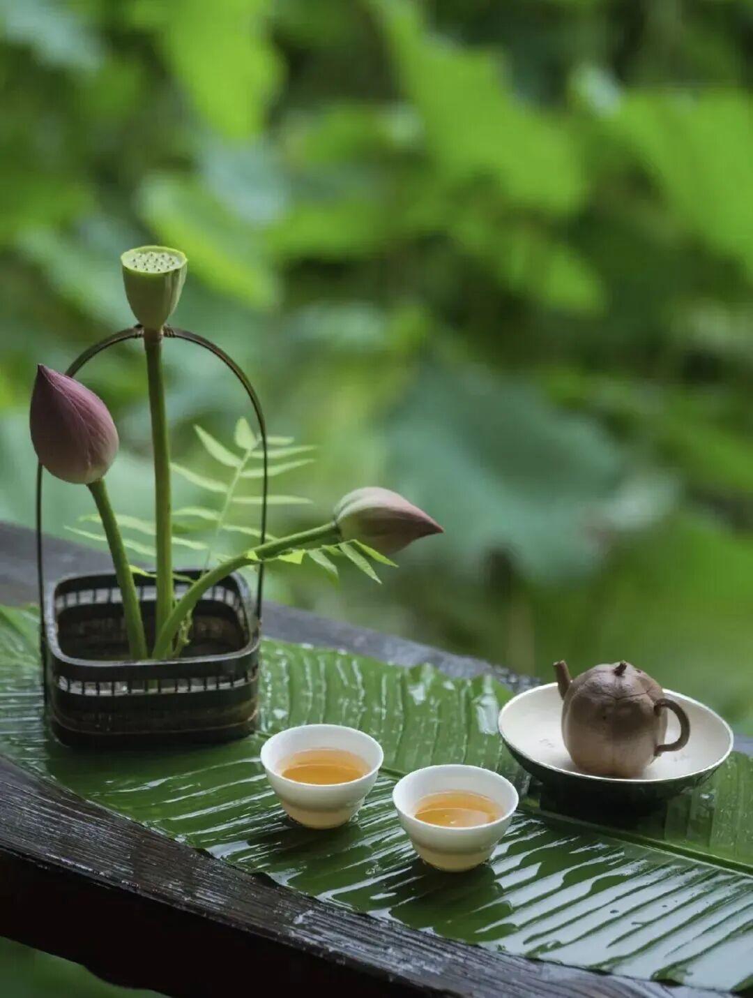 鹧鸪天·乐度初伏

梅岭牵风过雁洋，
慢城三舍夏初长。
檐前蝉语催新绿，
屋外孙