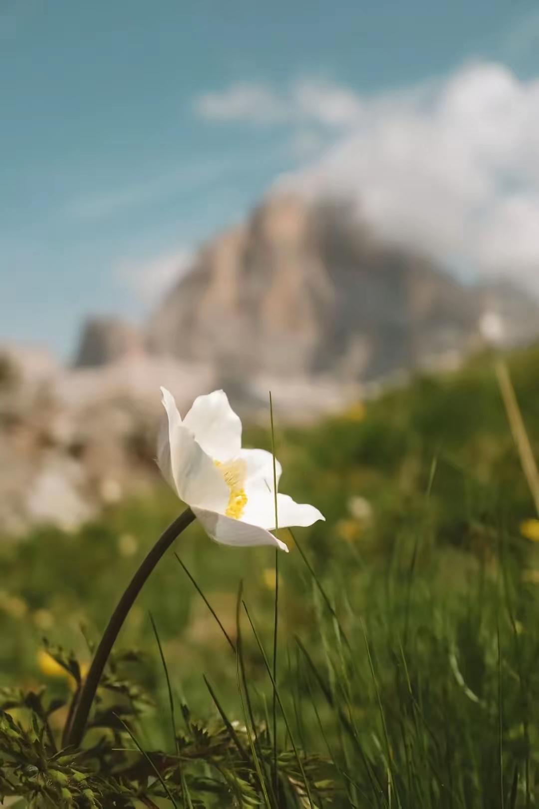 今天单位同事大姐拉着我，说她亲妹今年36岁，已经离婚两年了，现在有个7岁男孩跟着