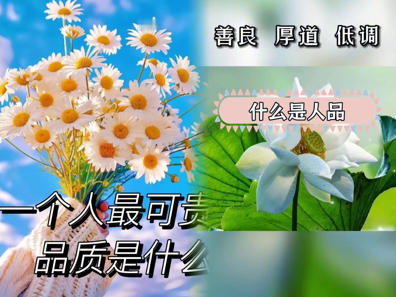你认为一个人最可贵的品质是什么


我认为一个人最可贵的品质是真诚。

在工作中