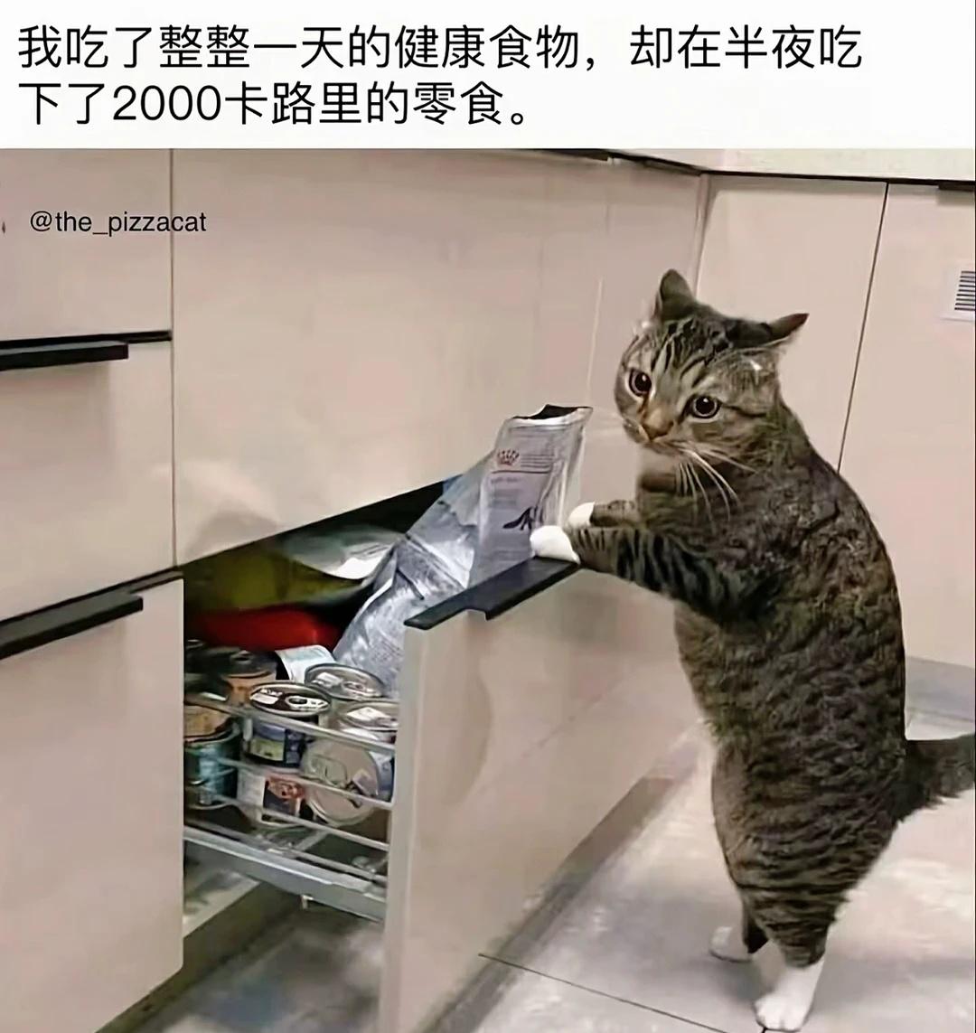 来点meme
梗图 此图有梗 合理但有病
