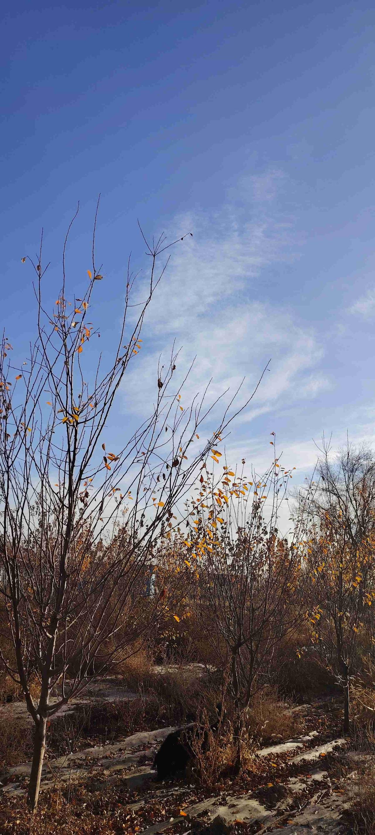 我的今日状态：😁轻松愉快
我这里的天气：☀️晴天